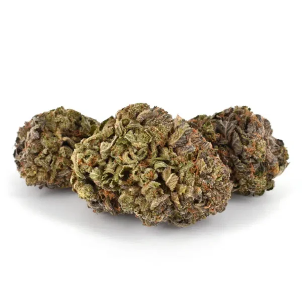 Purple Urkle (AAAA) - Image 2